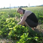 Ausflug Badesee & Erdbeerland